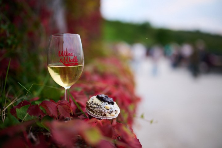 Jesenji Teran Wine & Walk: 750 vinoljubaca na 12 kilometara vinskog užitka